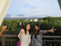img (95)